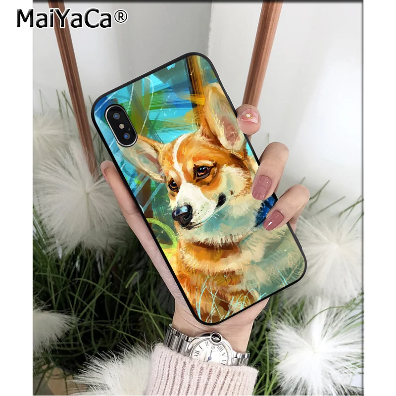 Animal Corgi dog