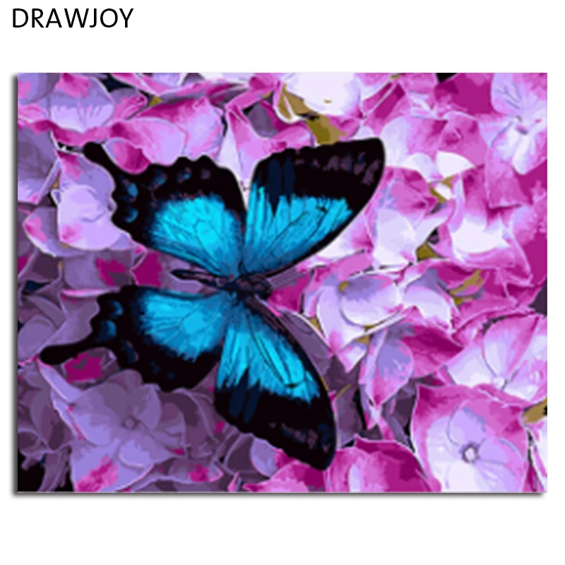 DRAWJOY картина в рамке DIY картина по номерам картина маслом Бабочка и цветок домашний декор для гостиной 40*50 см GX21627
