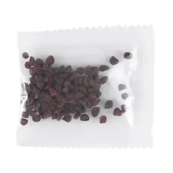 Category image: Bonsai