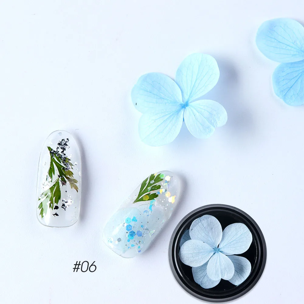 dried flowers C06