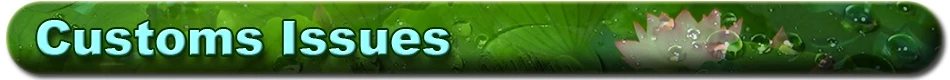 Customs Issues