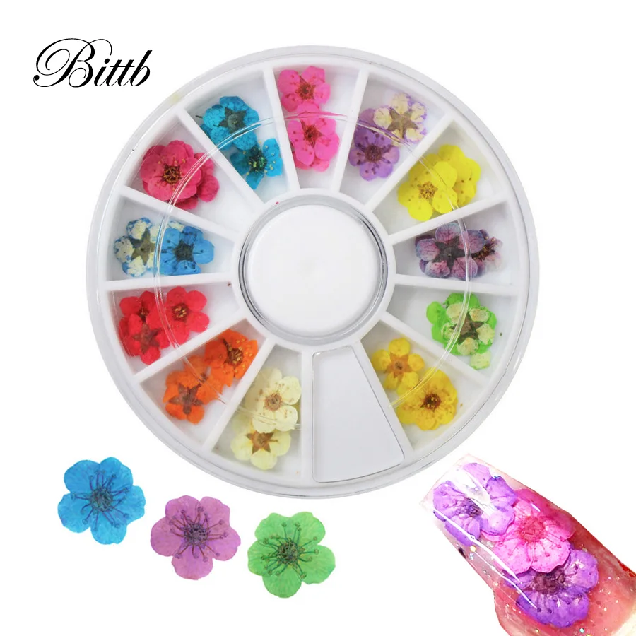 

Bittb 36pcs 3D Natural Dried Flower Fingernail Decoration Nail Art Flower Floral Decals UV Gel Acrylic Tips Manicure Tools