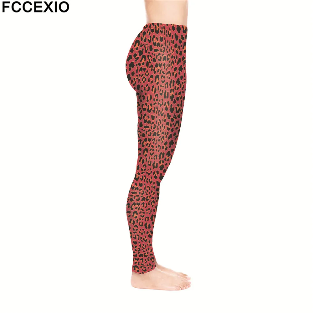 54674 red leo (4)