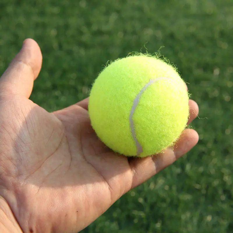 США Доставка 18 шт./компл. теннисные мячи с сеткой спортивные соревнования на открытом воздухе веселье крикет пляж собака высокое качество