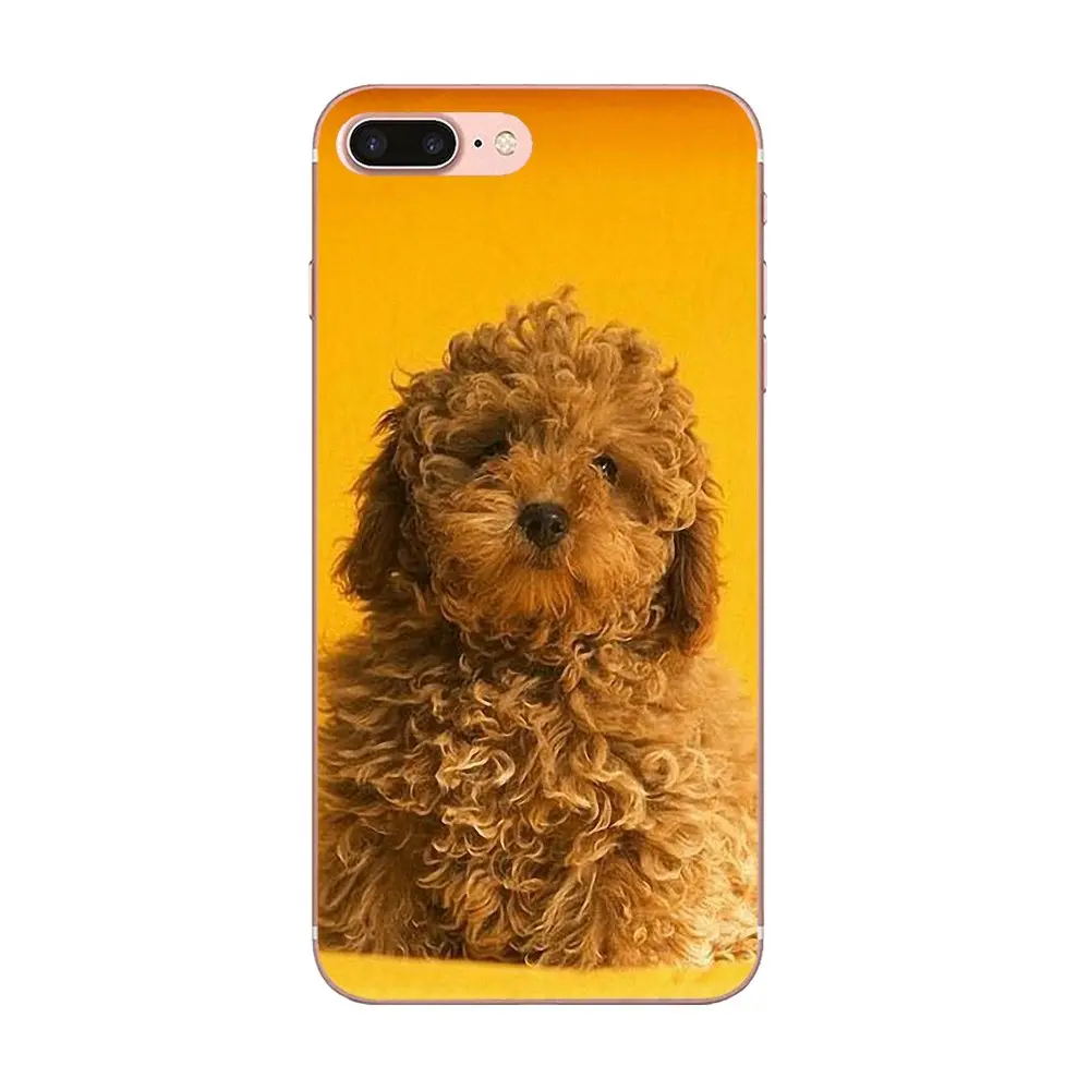 TPU художественный принт для Galaxy J1 J2 J3 J330 J4 J5 J6 J7 J730 J8 2015 2016 2017 2018 mini Pro Игрушка Пудель