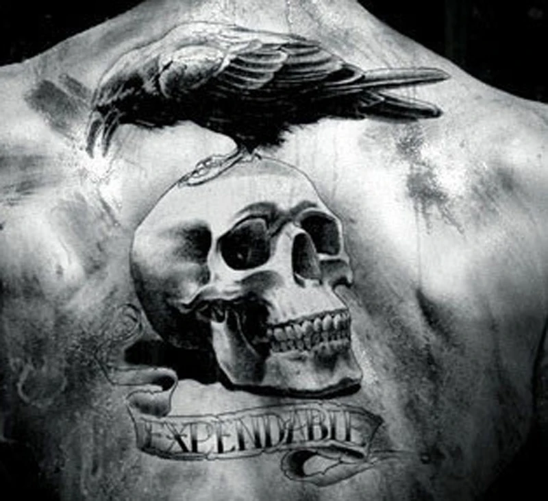 HTB1qKKBLXXXXXXdXFXXq6xXFXXXt