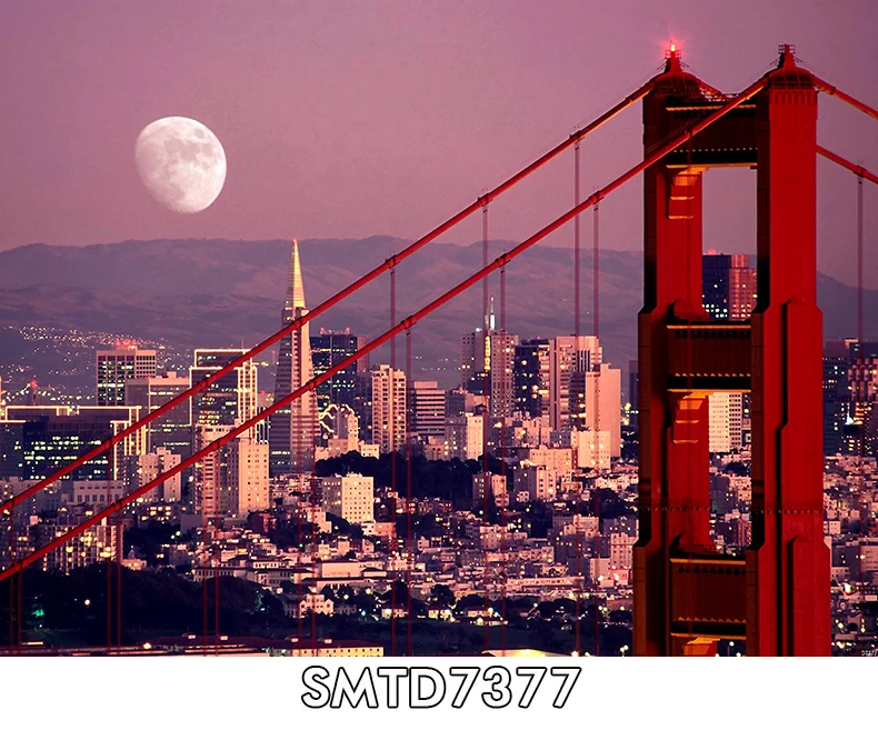 SMTD7377