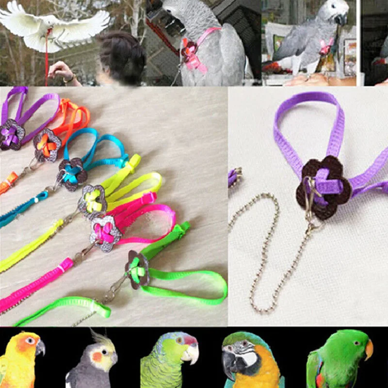 Bird Harness And Leash Bird Flight Harness Vest Anti Bite Flying Rope Parrot Flight 955090