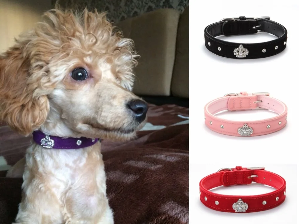 4 Colors Designer Crown Dog Collar Personalized Crystal Royal Crown