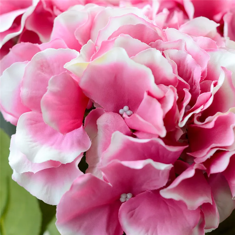 ZS461Darkpink (7)