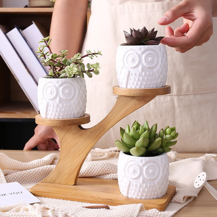 1 Set Ceramic Owl Garden Pots Modern Decorative Nursery Succulent Plant Pot 3 Bonsai Planters with 3-Tier Bamboo Shelf Hot Sale