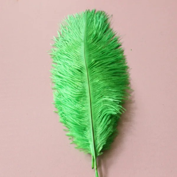 Hot! 100 Pcs Natural 15-20cm / 6-8 inch green Color Ostrich Feathers ostrich plumes for party wedding decorative | Дом и сад