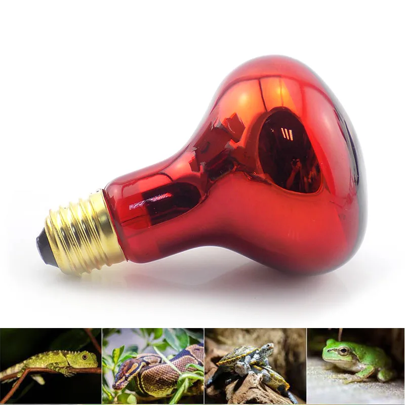 Mini infrared pet heating lamp reptile bulbs 220V 40W 60W reptile bulb Basking emitter indoor E27 plug daylight moonlight карабин v i pet монтажный 60 6мм 5шт