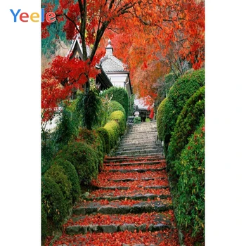 

Yeele Stairs Jungle Forest Red Leaves Trees Spring Photography Backgrounds Customized Photographic Backdrops for Photo Studio