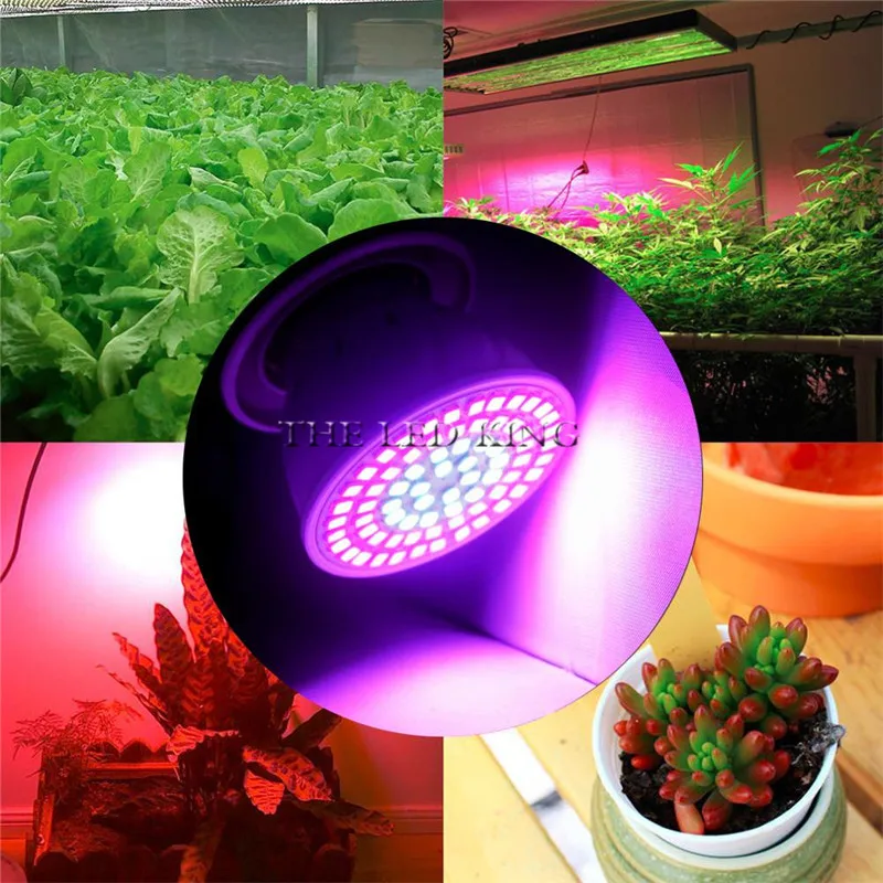 Светодиодный светильник для выращивания с 360 градусов гибкий держатель лампы двойные клипы Светодиодная лампа для выращивания растений для комнатных или настольных растений и гидропоники