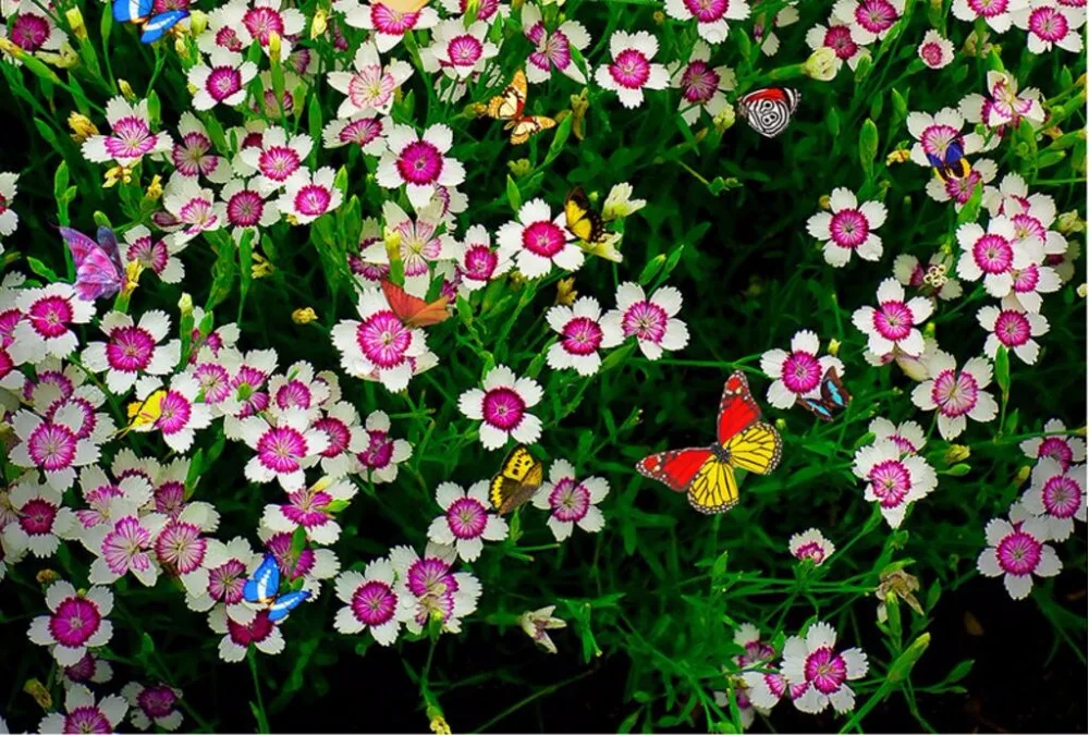 QQ20170306182024