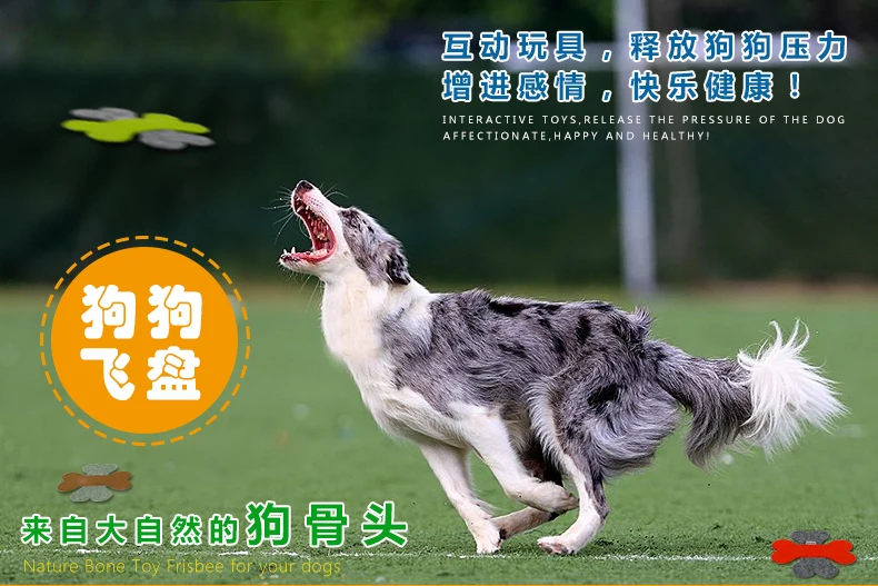 PD60021-_01