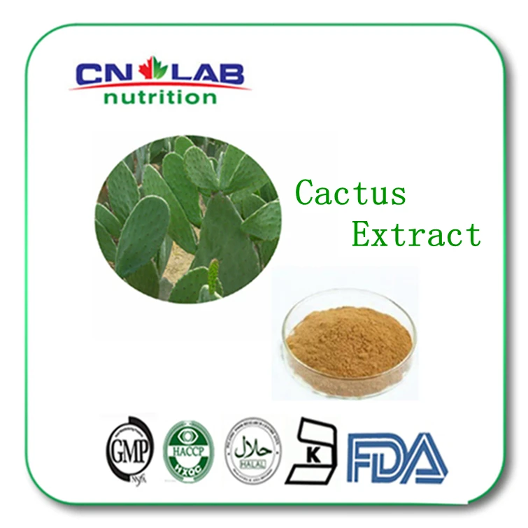 hot sale 200g/lot High Quality 200g Cactus powder Opuntia stricta