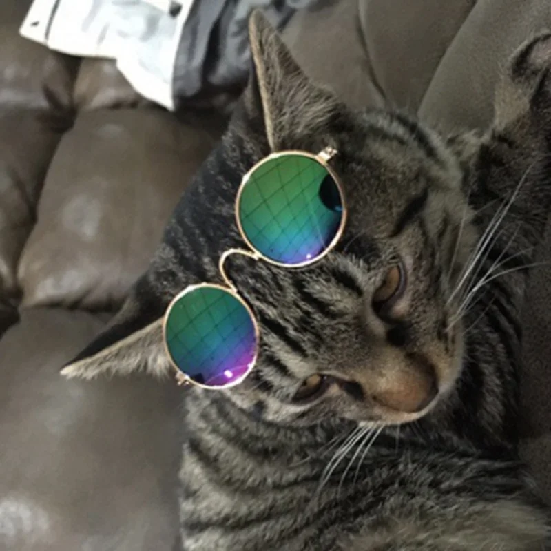 Модные домашние солнцезащитные очки собака кот очки, аксессуары для домашних животных, красота очковая оптика, во время защиты щенков кошка очки тренд для домашних животных