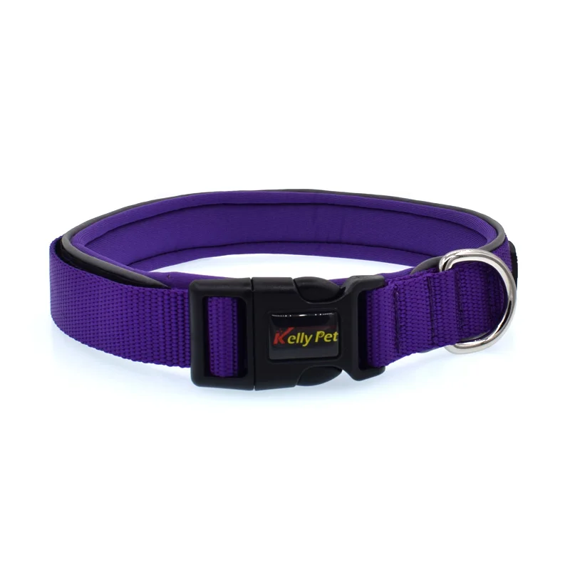 02 dog collars for large dogs 