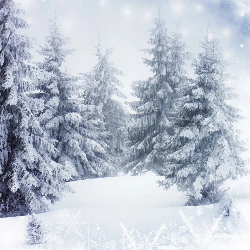 

Laeacco Winter Snow Backdrops Pine Forest Snowflake Glitter Star Portrait Scenic Photograpic Backgrounds Photocall Photo Studio