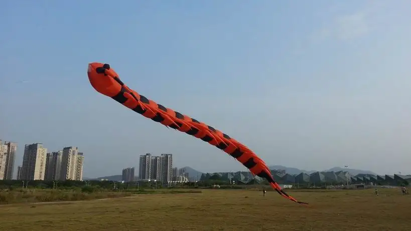

2017 new Inflatable snakes 3d kite Large three-dimensional kites Software centipede huge kite flying toys pipa soft kites kiting