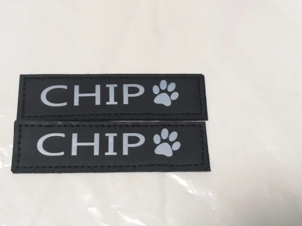 chip