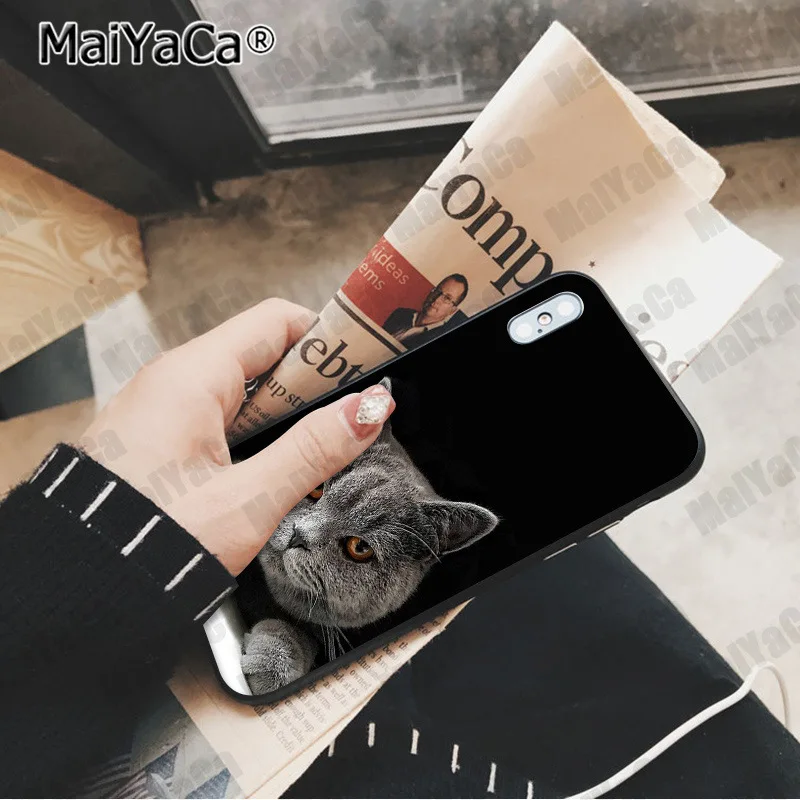 MaiYaCa милый Британский короткошерстный кот Новинка чехол для телефона Fundas чехол для Apple iphone 11 pro 8 7 66S Plus X XS MAX 5S SE XR чехол - Цвет: A15
