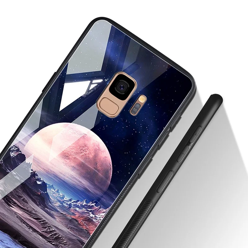 TOMKAS Tempered Glass Case For Samsung Galaxy S9 S9 Plus Silicone Coque Patterned Phone Cover Cases For Samsung Galaxy Note 8 (10)