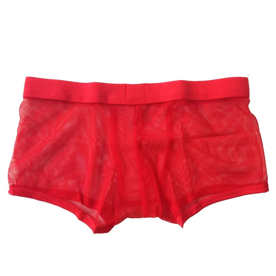 Hot! 2017 New Famous Brand Underwears Men's Boxers Shorts Sexy Mesh Men Panties Sexy Trunks shorts for Men Calecon Homme (13)