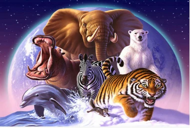 

2019 5D DIY Diamond Embroidery Animals Tiger Elephant scenery diamond painting Round drill Home Decor gift
