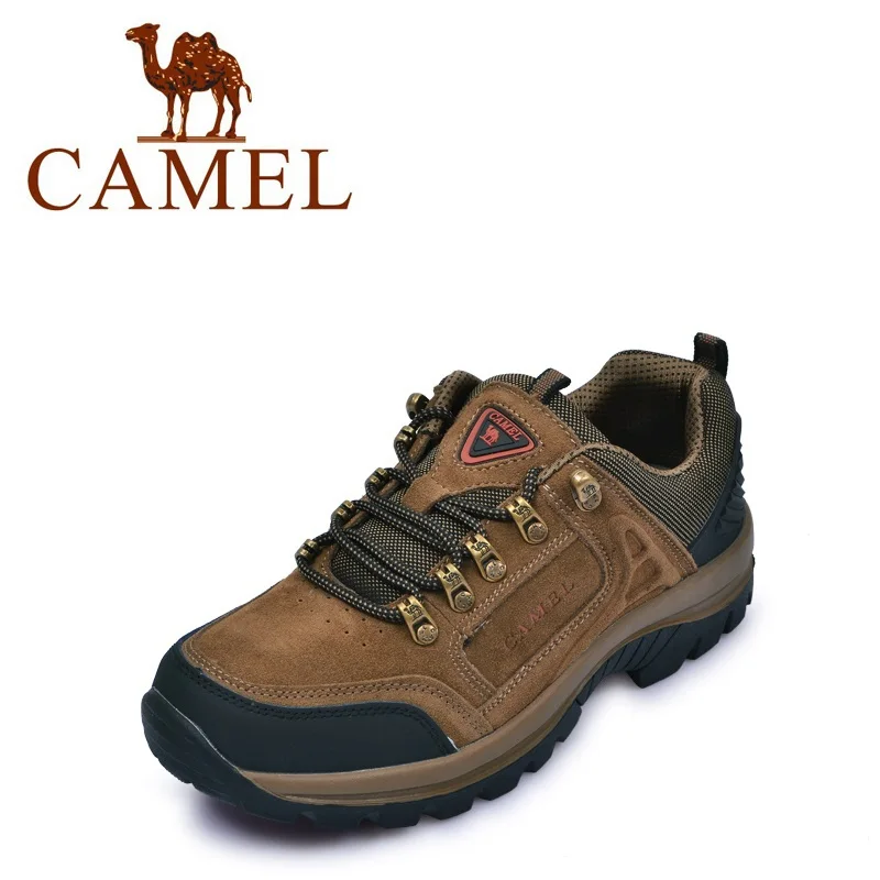 camel shoes men's