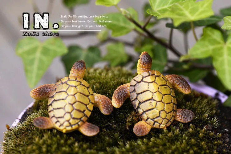 2126393170_394298364