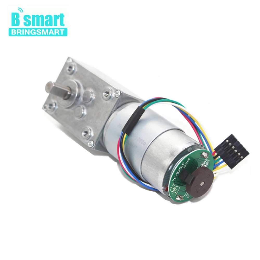 

Bringsmart 12V-24V Worm Gear Motor DC Motor Encoder High Torque 16-470rpm Self-Lock Reversible For Automation Project 5840-555B