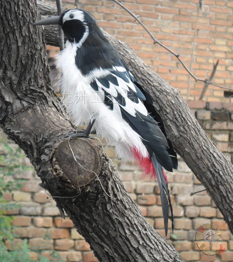 30cm artificial Bird feathers woodpecker long mouth bird specimen model home garden decoration filming prop gift h1086