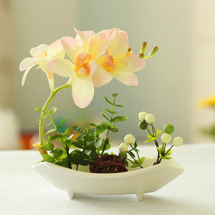 Online kaufen groÃhandel mini orchideen aus china mini orchideen ...