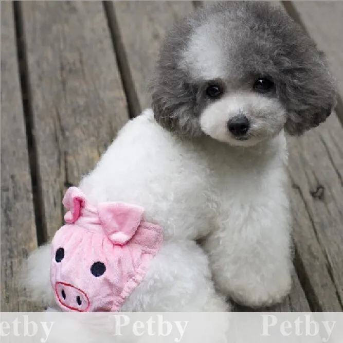 can dogs periods puppy pet soft sanitary nappy breathable can dogs periods puppy pet soft sanitary nappy breathable
