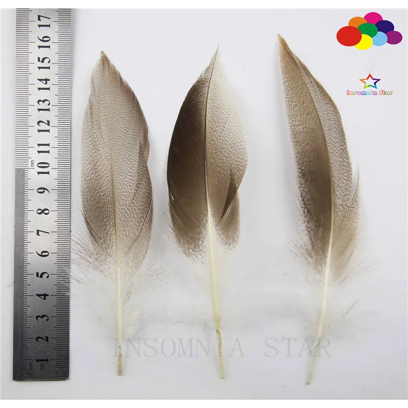 100 pcs 3 colors natural duck Feather 3-4 inch//8-10cm Diy carnival headress mask