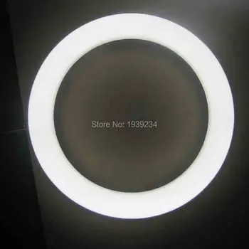 

3000K 6000K LED Annular Tube Lights T9 Circle Lighting 12W AC220V Rohs LED
