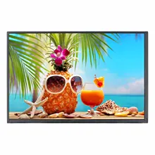 10,1 дюймов 1280X800 ЖК-дисплей Экран M101NWWB
