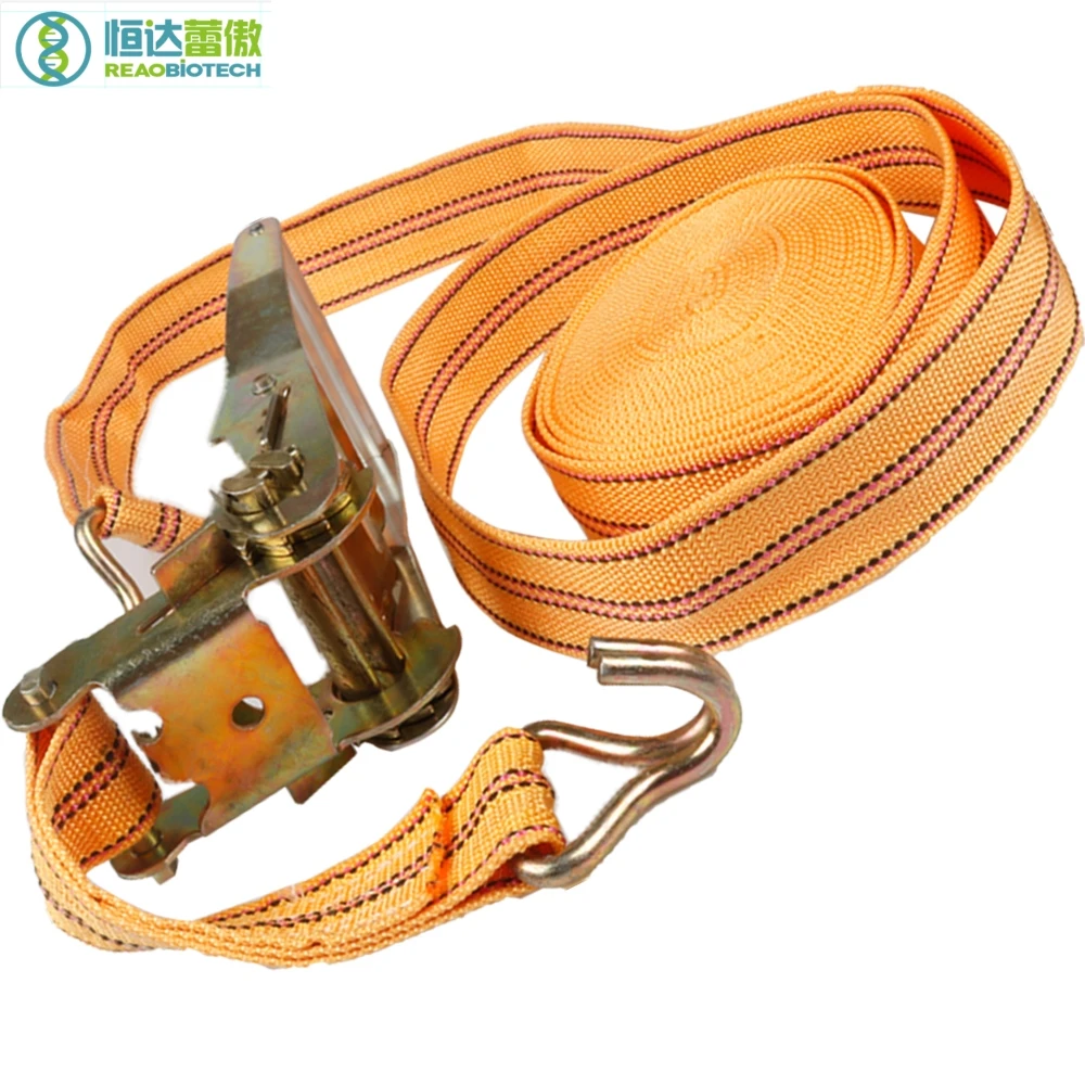 

Beekeeping Beehive Cargo Lashings Strap Belt Bee Hive Tool Bees Keeping Apiculture Equipment and Tools for Beekeeper HDBA-007