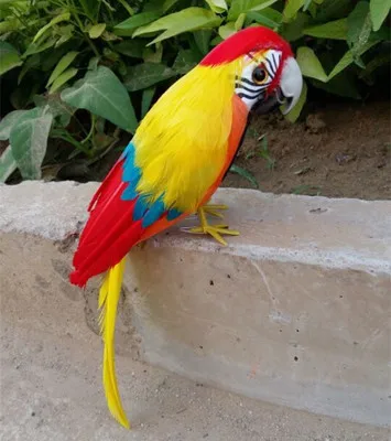 

yellow&red feathers bird model beautiful parrot about 30cm simulation bird handicraft prop,home garden decoration gift p2505