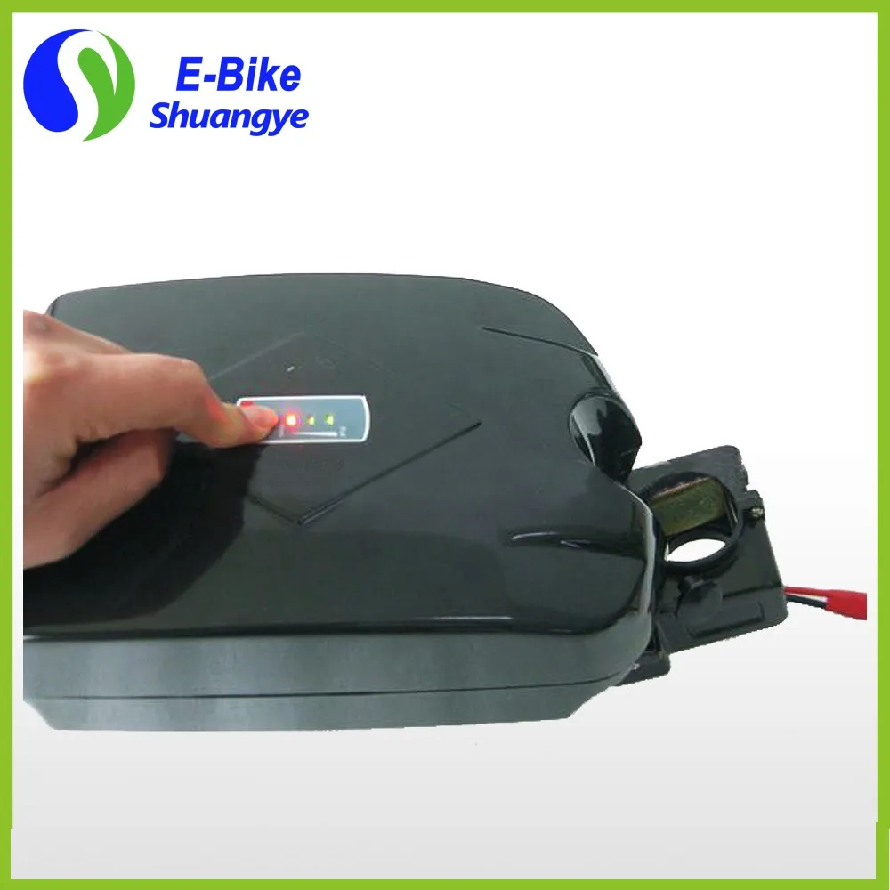 high-quality-li-poly-24v (1)