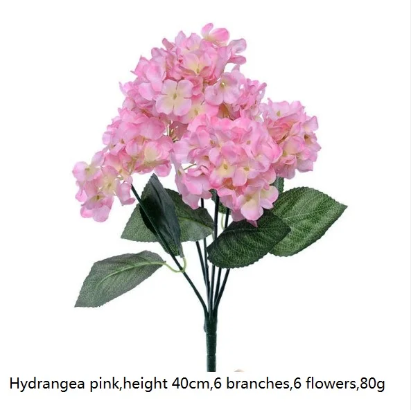 Hydrangea pink