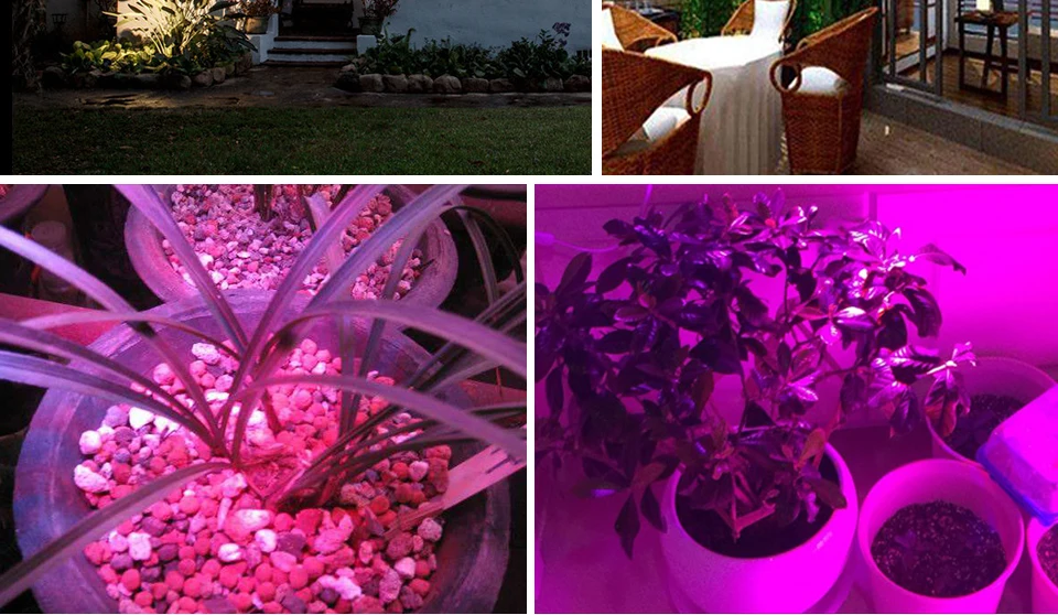 Phyto Lamps (14)