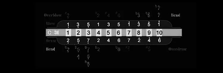 JDR Diatonic губная гармоника 10 отверстий губная гармоника арфа профессиональный черный духовой инструмент рот орган C Ключ подарки для детей взрослых