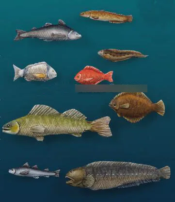 

1/35 Modified Parts Animal Fish Style II 1 Set