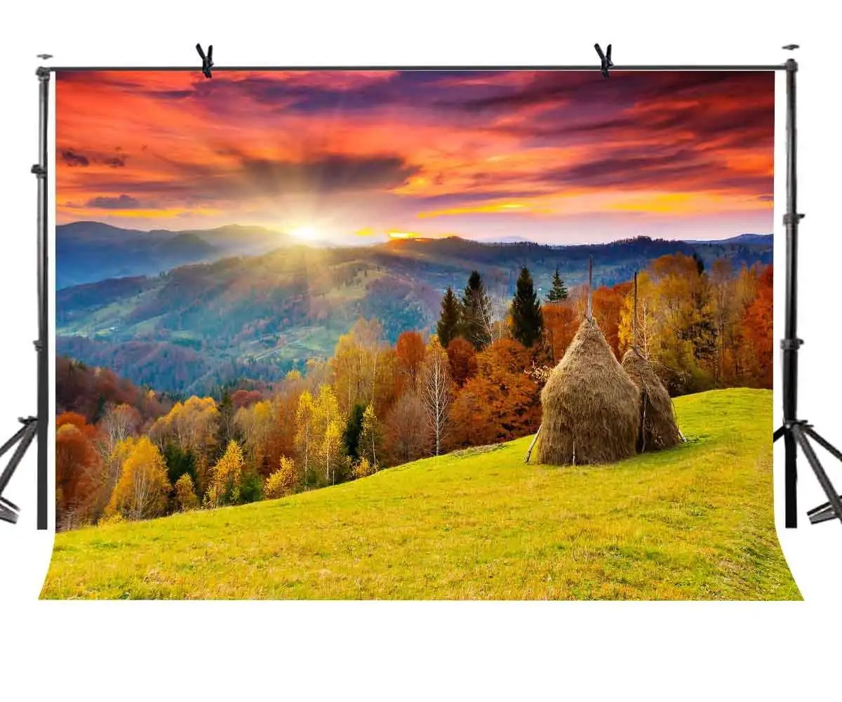 

7x5ft Natural Scenery Backdrop Beautiful Natural Rural Scenery Photography Background and Studio Photography Backdrop Props