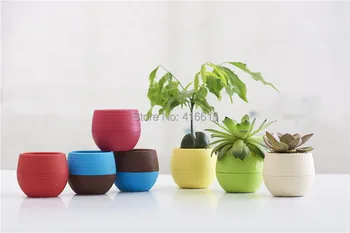 

Colorful Garden Mini Spherical Shape Plastic Pots Vase With Tray Flower Bonsai Planter Nursery Pots gardening supplies
