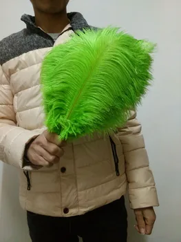 

Wholesale 50 pc high quality Apple green ostrich feather 12-14inches / 30-35CM diy decorative vases / Accessories / Apparel